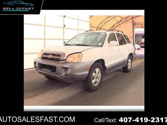 HYUNDAI SANTA FE 2005 KM8SC13D75U876967 image